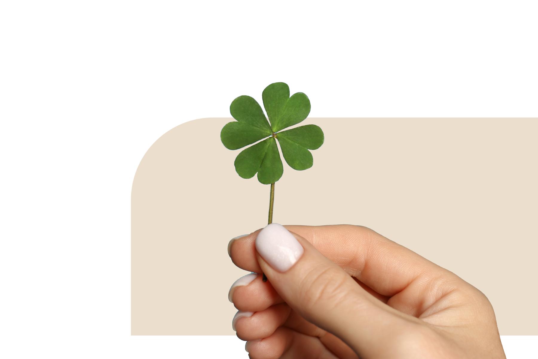 Hi referral candidate! Looking for a job?